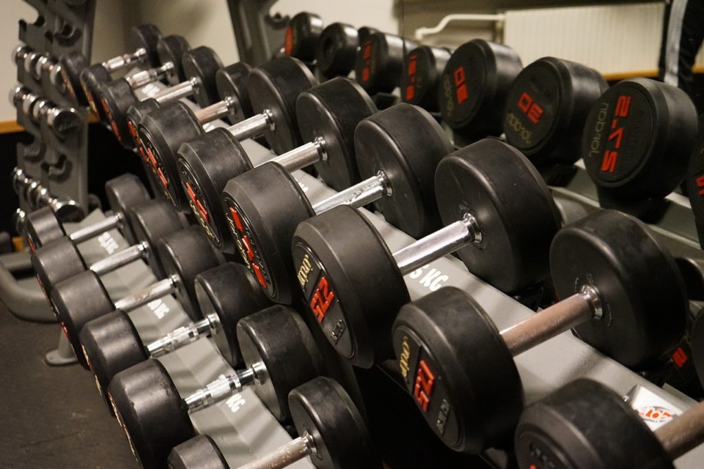 dumbbells in the perfect rack